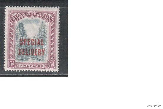 Багамы-1918,(Мих.57)  * , Британские колонии, Стандарт,Надп., (одиночка)