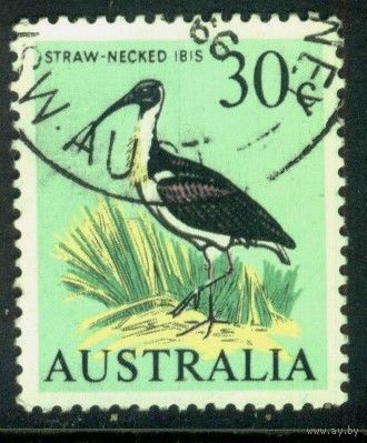 Австралия - 1966 [Mi. 373] Гашеная (AU09)