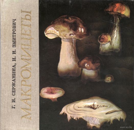 Г.И. Сержанина, И.И. Змитрович. Макромицеты