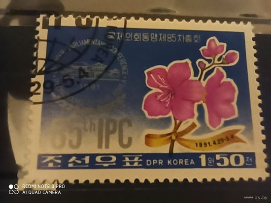 Корея 1991