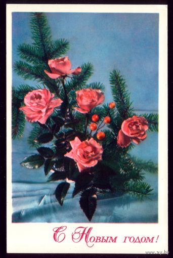1975 год Е.Игнатович С Новым Годом!