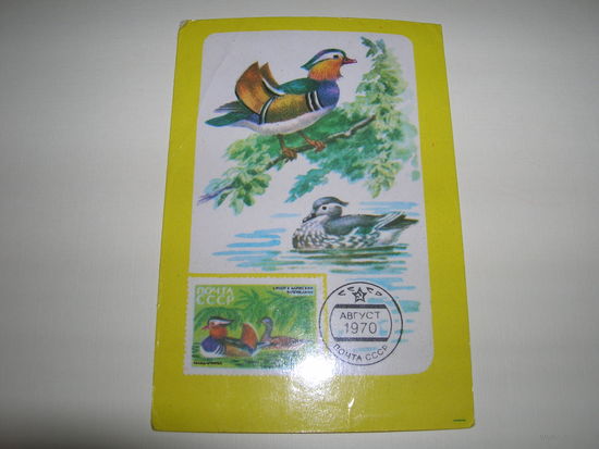 Календарик 1987 год Филателия. ВОФ