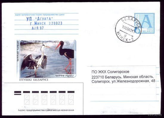2003 год Чорны бусел