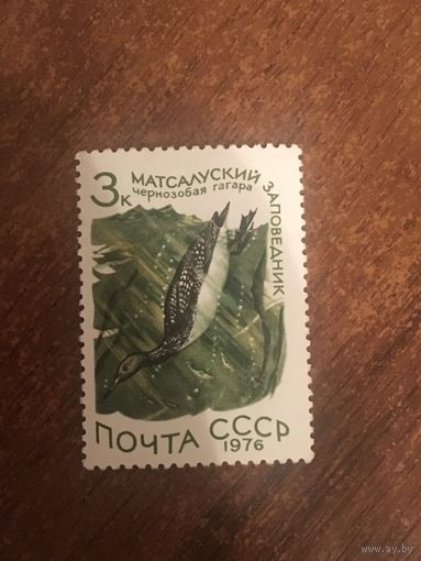 СССР 1976. Чернозобая гагара