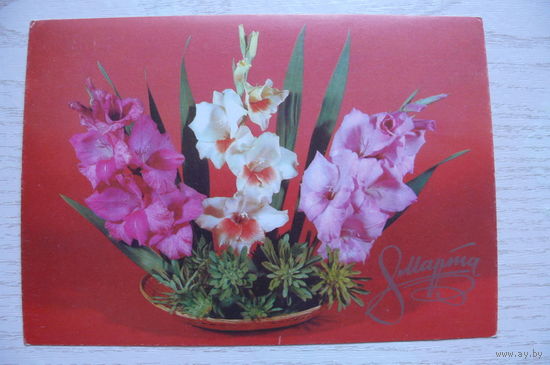 Круцко Б., 8 Марта; 1979, чистая.