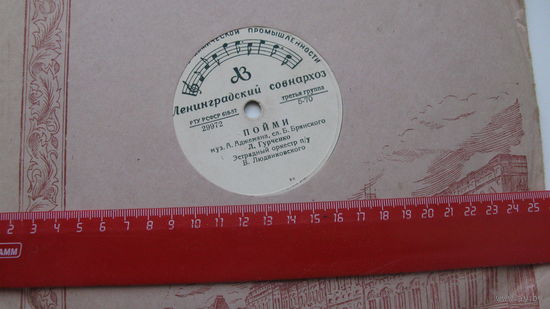 Пластинка для граммафона ( Отчего . почему и др.)