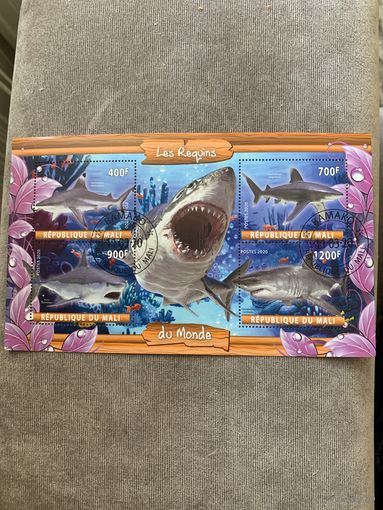 Мали 2020. Акулы. Малый лист