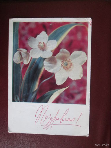 Почтовая открытка.СССР.1969г.Чистая.