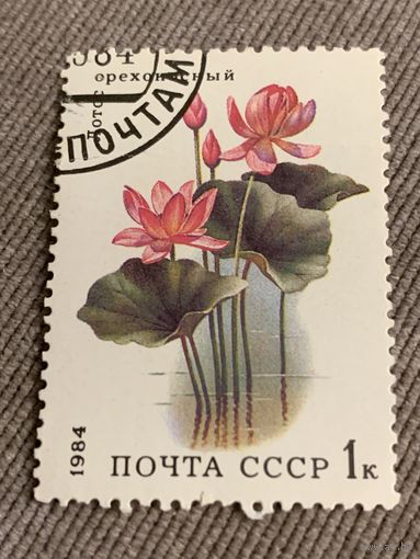 СССР 1984. Флора. Лотос. Марка из серии