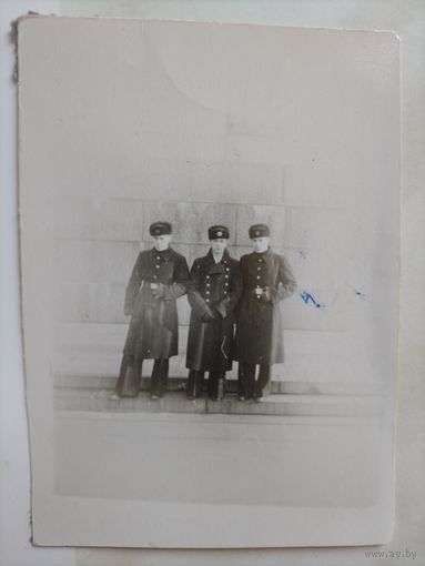 Фото в коллекцию