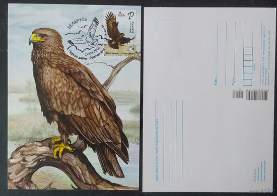 Беларусь 2019 КМ птица года, большой подорлик .