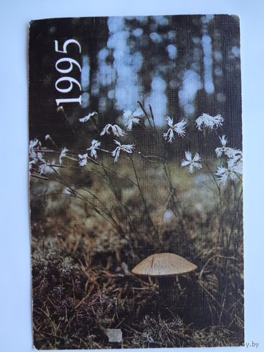 Календарик 1995 г.  Подберезовик.