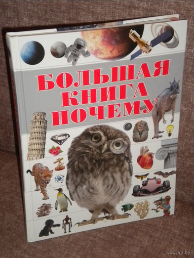 "Большая книга почему"