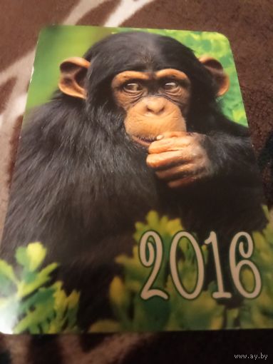 Календарик 2016г.