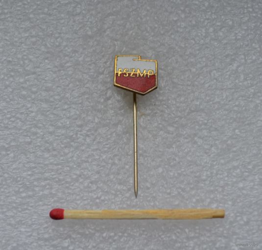 Федерация социалистической польской молодежи. FSZMP.