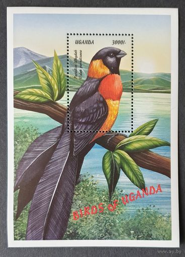 Фауна. Птицы Птица Райская вдовушка 1Б Уганда 1999 MNH** Mi 2168 7.5e кат