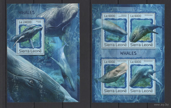Сьерра-Леоне 2016** Морская фауна Киты