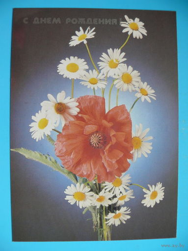 Киндрова Д.(фото), С днем рождения! 1988, чистая.