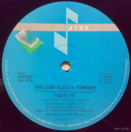 Tight Fit – The Lion Sleeps Tonight