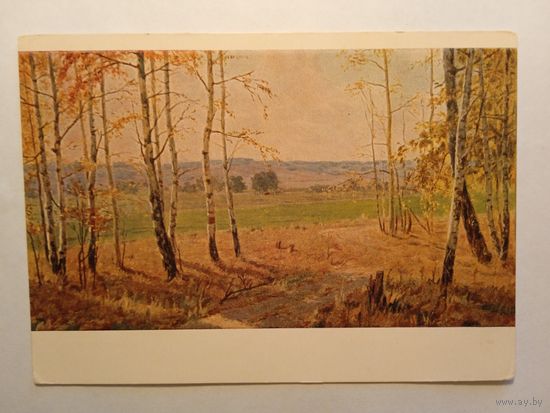 1956. Рычагов. Опушка леса