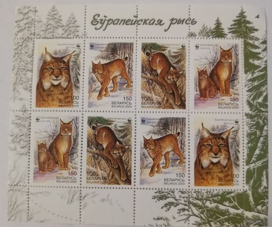 Малый лист Европейская рысь