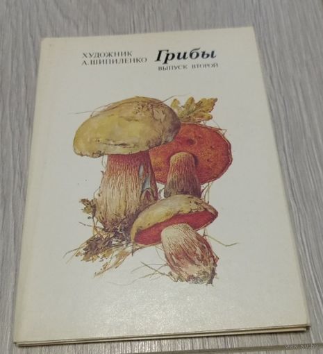 Грибы. Выпуск второй. Полный комплект: 16 открыток. 1987