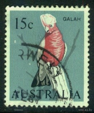 Австралия - 1966 [Mi. 369] Гашеная (AU09)