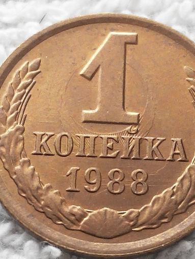 1 копейка 1988 СССР #11 БРАК