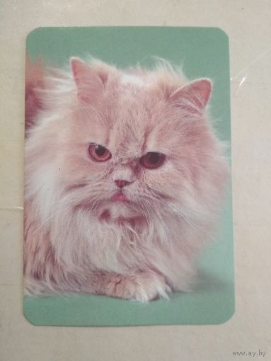 Карманный календарик. Кошки . 1996 год