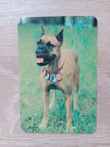 Календарик 1991