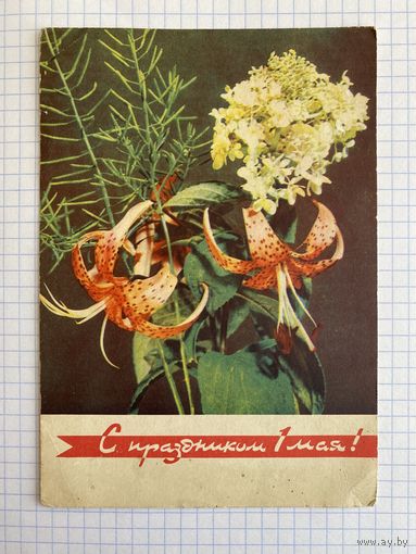 Открытка.
