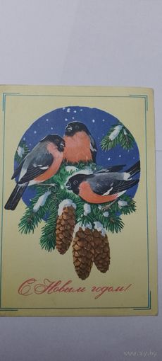 С новым годом! Г. Куртенко 1979г. Подписана