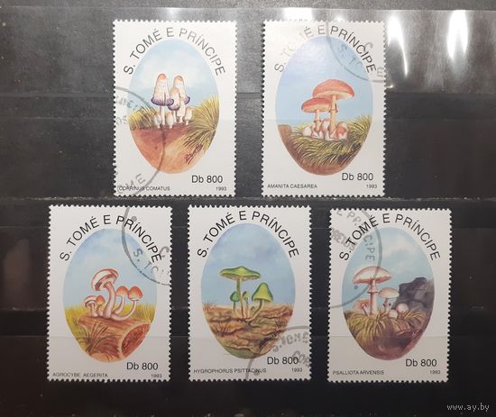Сен Томе и Принсипи. 1993 год. Флора. Грибы. Блок (1027)