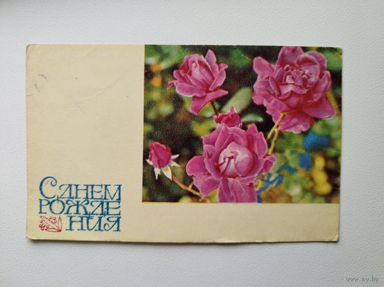 С днём рождения! 1968 год. Фото Р. Папикьяна. Чистая