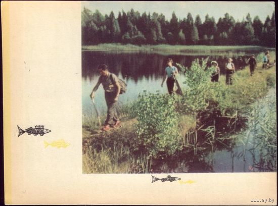 1964 год Нарочанский уголок