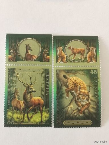 Животные Латвии - Рысь обыкновенная (Lynx lynx) и Олень благородный (Cervus elaphus)