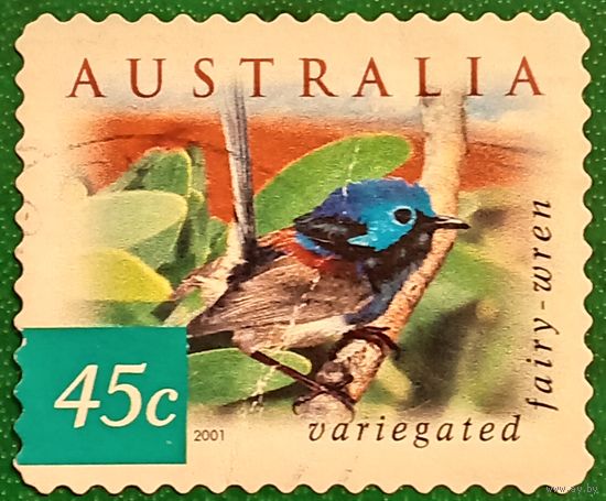 Австралия 2001. Фауна. Птицы. Variegated Fairy-wren