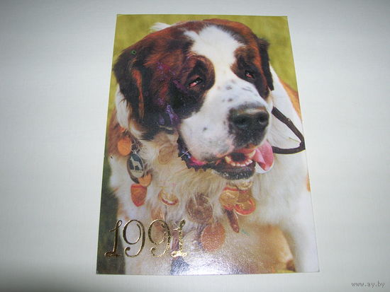 Календарик 1991 год Собака Сенбернар