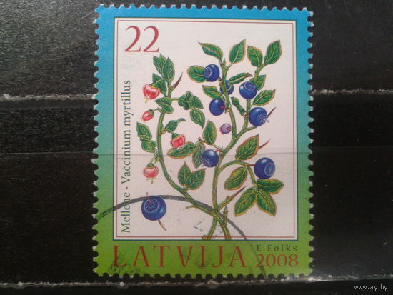 Латвия, 2008. Черника