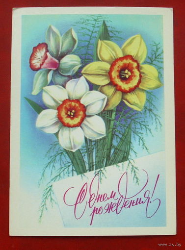 С днём рождения! Подписанная. 1980 года. Савин. 1110.