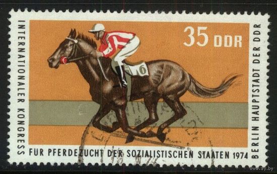 ГЕРМАНИЯ, ГДР - 1974 [Mi. 1972] Гашеная (DDR09)