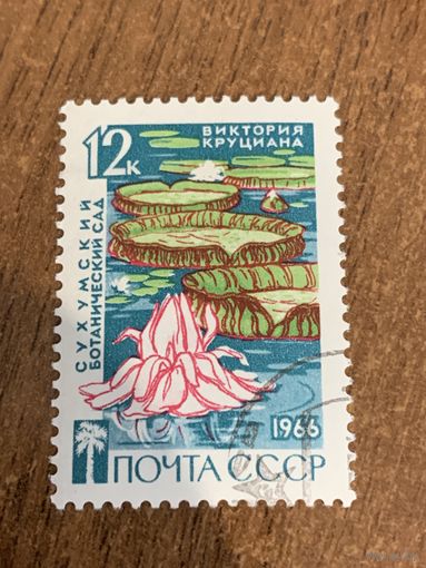 СССР 1966. Виктория круциана. Марка из серии