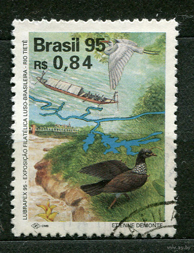 Птицы. Бразилия. 1995