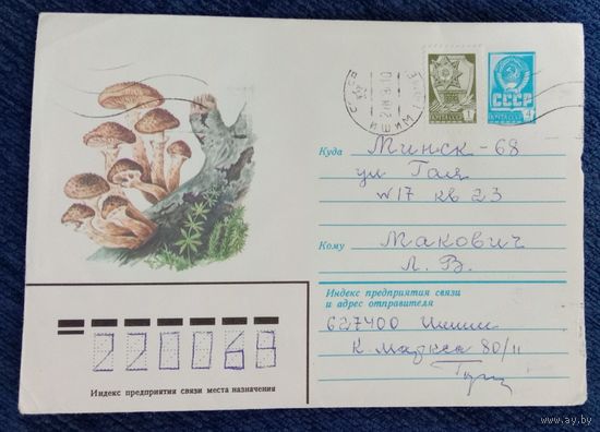 Художественный маркированный конверт СССР 1982 ХМК прошедший почту Художник Сергеева Опёнок осенний