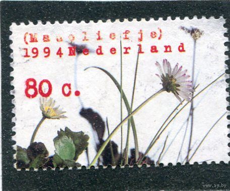 Нидерланды. Флора. Цветы