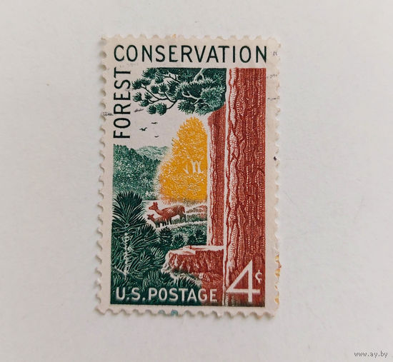 США 1958. Лес. Олень