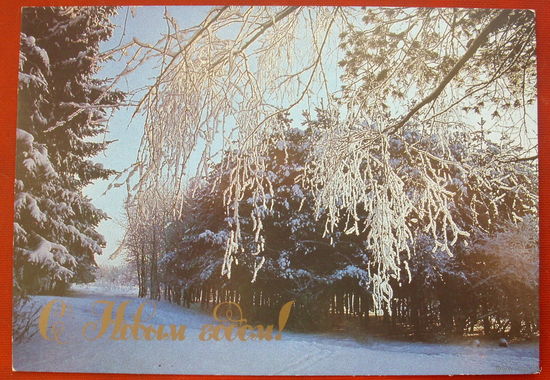 С новым годом! Чистая. 1989 года. Фото Буркина. 993.