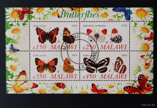 ЛИСТ ЖУКИ БАБОЧКИ НАСЕКОМЫЕ  СТО