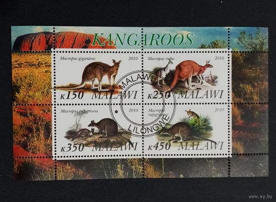 ЛИСТ ФАУНА животные  СТО