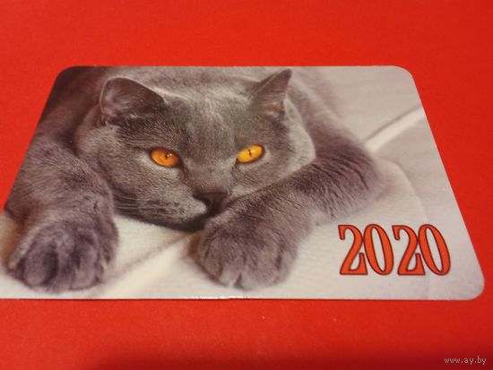 Календарик 2020г.